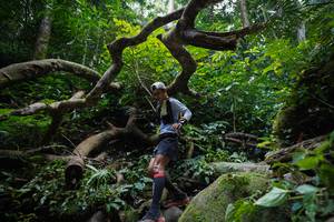 BIB: 
                            <button type="button" onclick="openModal(19408577)" class="btn btn-primary btn-sm float-right btn-popup" data-toggle="modal" data-target=".modal-high-quality">
                        <i class="fas fa-shopping-cart"></i> Add to Cart
                    </button>
                                            <button type="button" onclick="isThisMe(19408577, true)" class="btn btn-success btn-sm float-right btn-popup btn-isme hidden" data-toggle="tooltip" data-placement="bottom" title="นี่คือรูปของคุณใช่ไหม คลิกที่นี่เพื่อเอาเข้าอัลบั้ม">
                        <i class="fas fa-plus"></i> Add to album
                    </button>
                    <button type="button" onclick="isThisMe(19408577, false)" class="btn btn-warning btn-sm float-right btn-popup btn-isnotme hidden">
                        <i class="fas fa-ban"></i> Remove from album
                    </button>